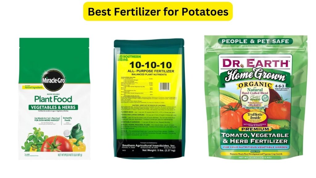 Best Fertilizer for Potatoes